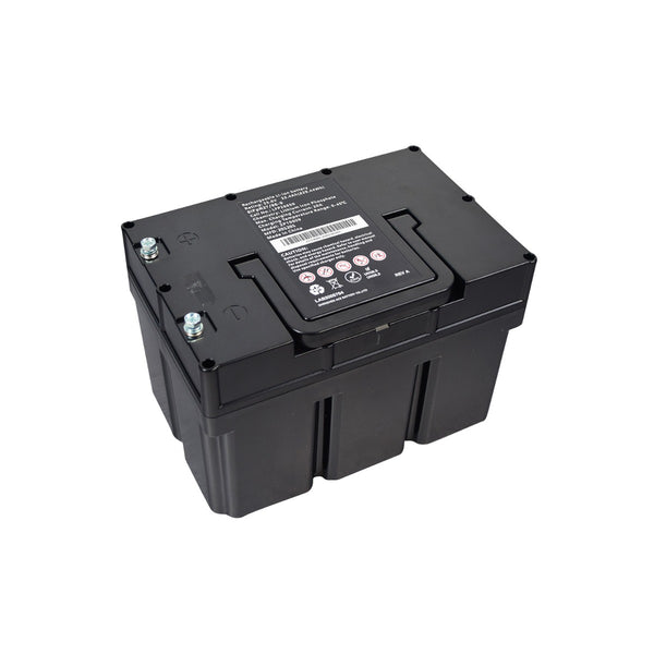 p49-1914_1_grande.jpg?v=1712693415