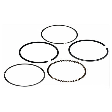 Piston Ring Set for the 196cc 6.5 Hp (Honda GX200 Clone) Engine Baja Mini Bike MB165, displayed as a group of circular metal rings essential for engine performance and maintenance.