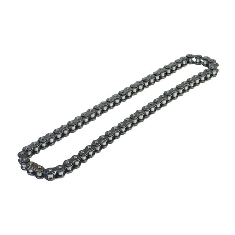 62 Link 420 Chain for go-karts and mini bikes, shown coiled on a white background, featuring 31 outer and 31 inner links suitable for Baja Motorsports Dune (DN65) go-kart.