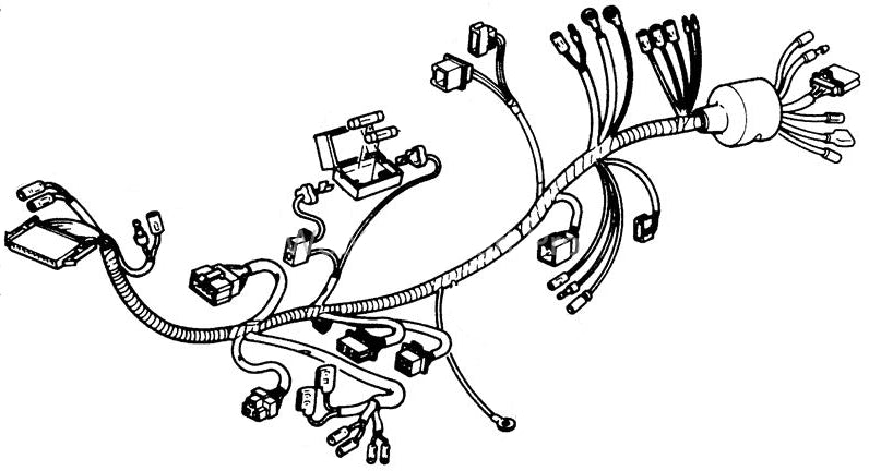 Wire Harness for Honda Elite 250 (1988 Models) (OEM) depicted in a detailed line drawing wiring diagram, showing the precise layout and connections of the harness components.